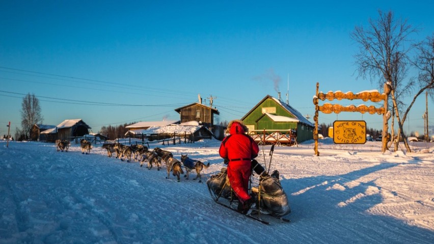 Tak psie zaprzęgi ścigają się w najtrudniejszym wyścigu na Alasce [zdjęcia]