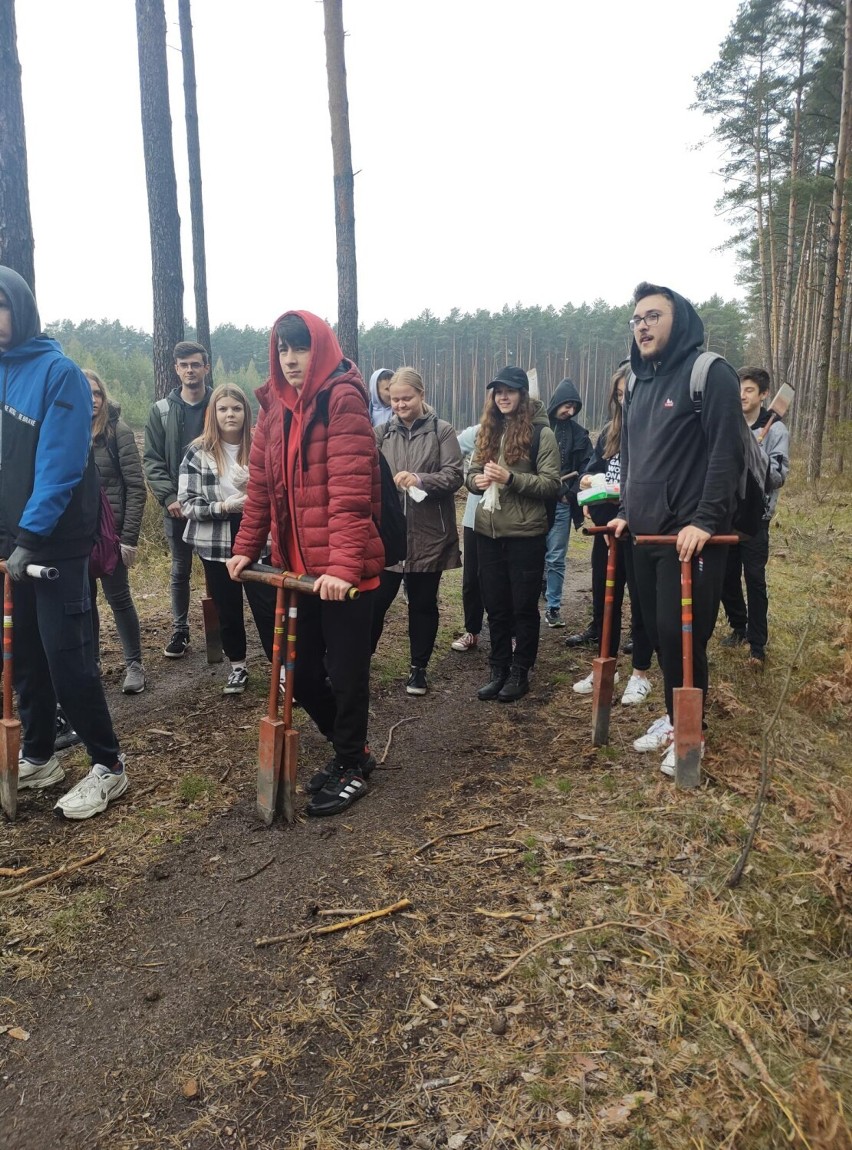 Uczniowie wieluńskiego "Katolika" sadzili las w Ożarowie 