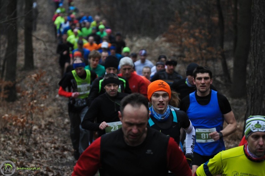 City Trail w Katowicach - zdjęcia z finałowego biegu [28 luty 2016]