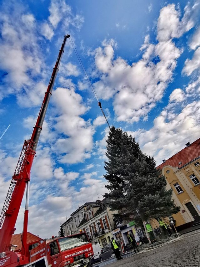 W ubiegłym roku gigantyczna choinka na Rynku pojawiła się już pod koniec listopada