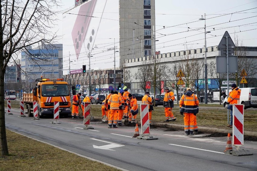 Po obu stronach torów docelowo posadzonych zostanie około 50...