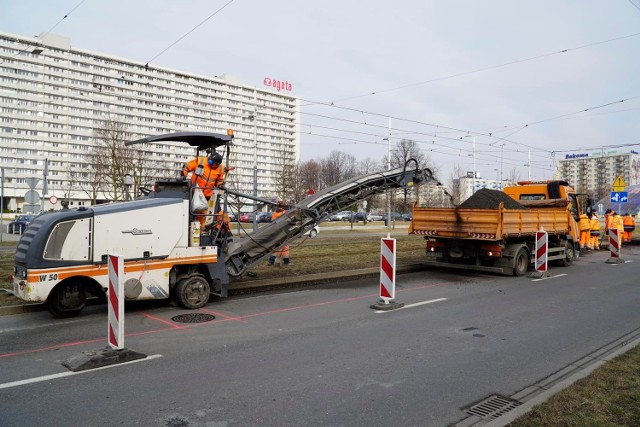 Po obu stronach torów docelowo posadzonych zostanie około 50 drzew, a także krzewy, trawy japońskie i turzyce.