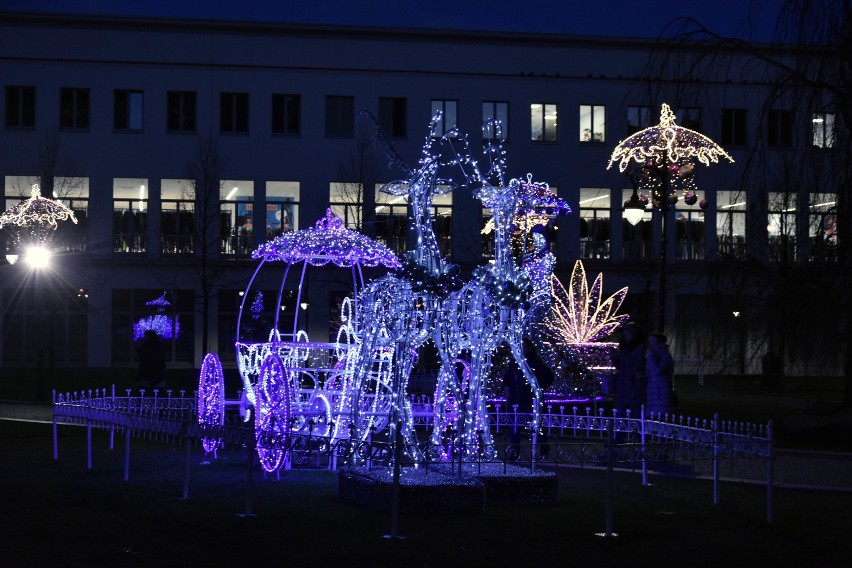 Inauguracja świątecznej iluminacji w Legnicy w piątek. Zobacz jak było przed rokiem [ZDJĘCIA]