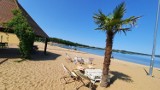Przepiękna plaża niedaleko Gorzowa. Czysta woda, szeroka plaża, gofry i do tego... palma!