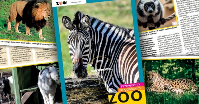 Kolejna edycja "Przewodnika po gdańskim zoo". Dzień Dziecka to świetny moment, by odwiedzić ogród. Korzystajcie z naszych podpowiedzi!