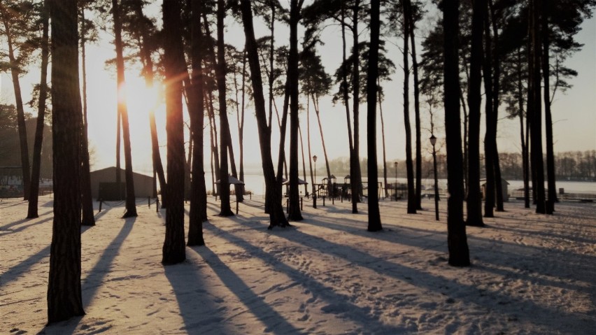 Zobacz, jak wspaniale wygląda plaża w Gołuchowie w zimowej...