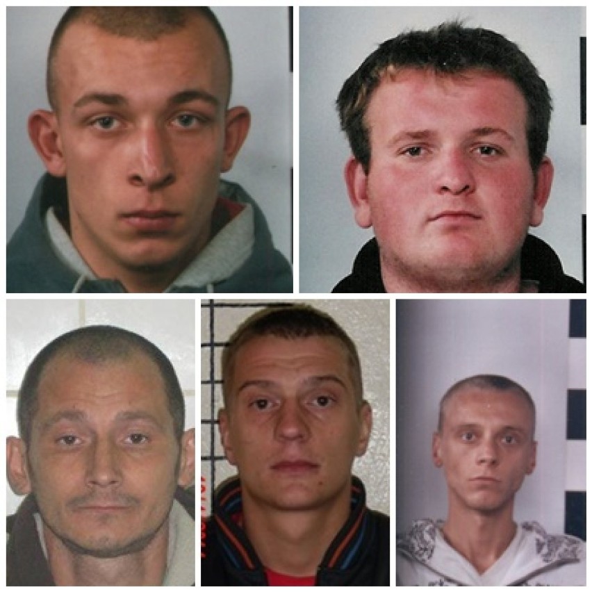 Tych handlarzy narkotyków szuka wrocławska policja (ZOBACZ ZDJĘCIA)