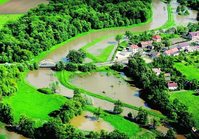 W maju 2010 roku to fatalny stan rowów przy Widawie stworzył zagrożenie dla mieszkańców