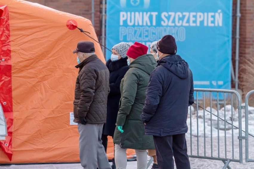 Wałbrzych pierwszym miastem tak rejestrującym na szczepienie przeciw COVID-19!