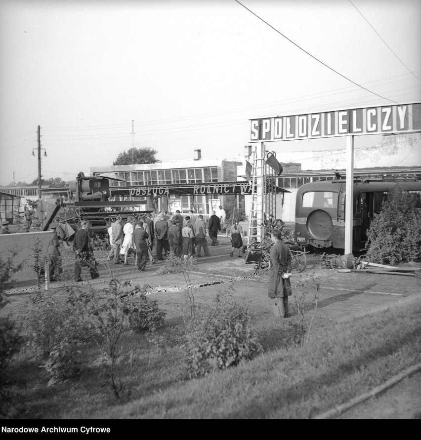 Wystawa gospodarczo-rolnicza w Częstochowie 1950