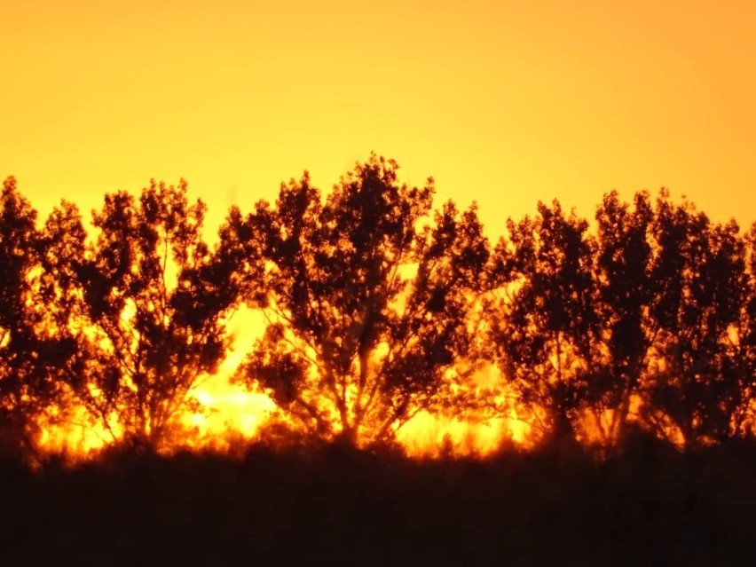 Przepiękny zachód słońca widziany z górek za Bukowcem