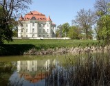 Historia zamku w Leśnicy
