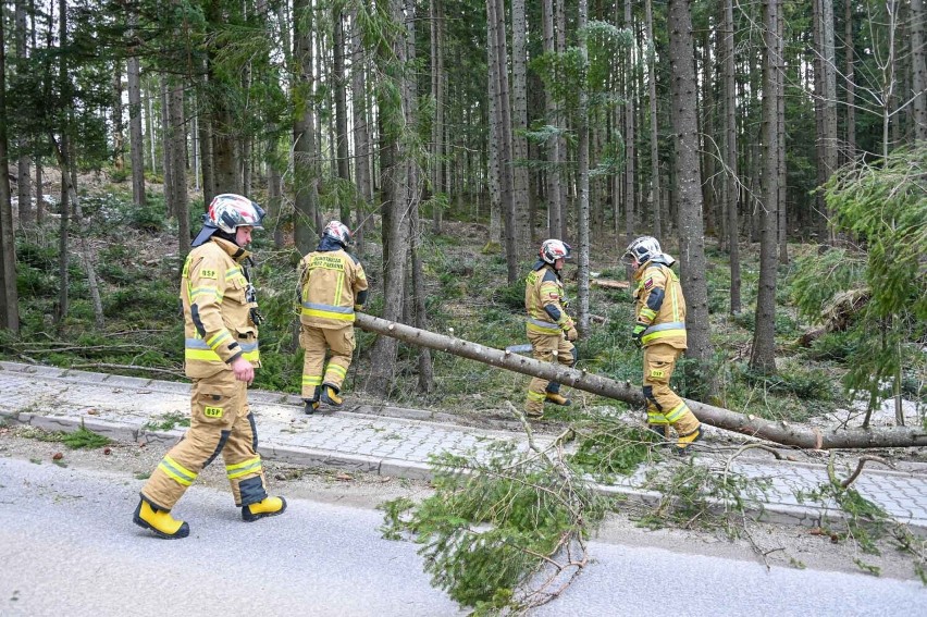 Powalone drzewa w Kościelisku