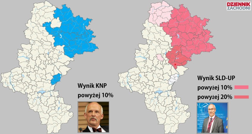 Eurowybory 2014 w woj. śląskim. Wyniki w miastach i powiatach [TABELE, MAPY]