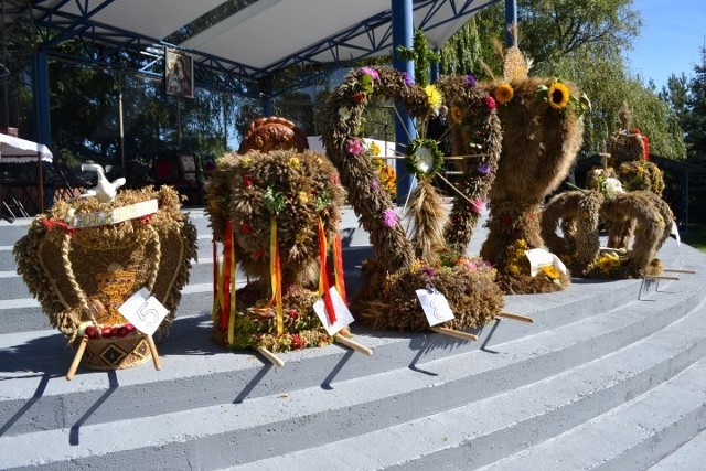 Dożynki archidiecezjalno-samorządowe w Trąbkach Wielkich 2013