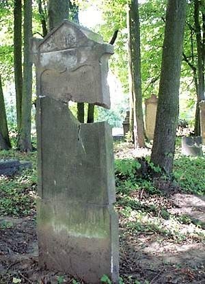 Cmentarz mennonicki w Wikrowie