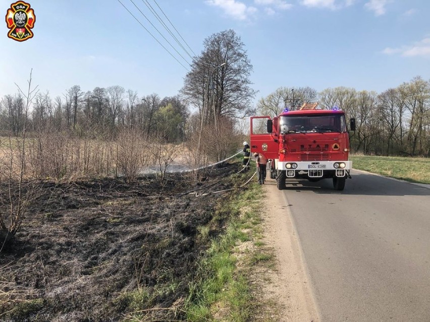 Sokołowice: OSP wyjeżdżało do pożaru traw (GALERIA ZDJĘĆ)