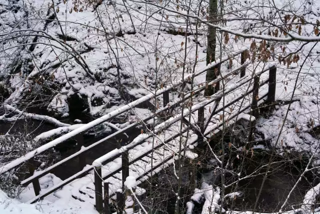 Godzina, może trochę więcej. Tyle czasu wystarczy, aby odbyć zimowy spacer w sercu Parku Krajobrazowego Dolina Słupi. Na trasie (4 km): zabytkowa elektrownia w Gałąźni Małej, zamek wodny oraz leśny rezerwat Dolina Huczka z pięknie komponującymi się drewnianymi mostkami i schodami.