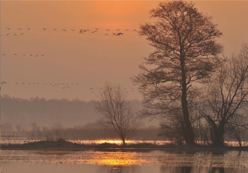 Fot. Ryszard Sąsiadek