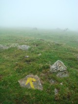 Camino de Santiago - szlak pielgrzymkowy w Hiszpanii