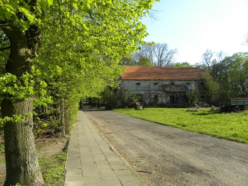 Park w Szczytnikach w wiosennej odsłonie. ZDJĘCIA