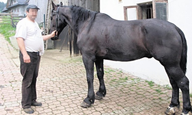 Tadeusz W. kilka dni temu pokazał nam konia Bohuna