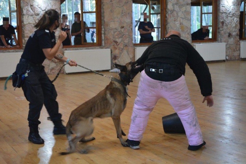 St. sierż. Karolina Wielg z psem Nitro podczas szkolenia