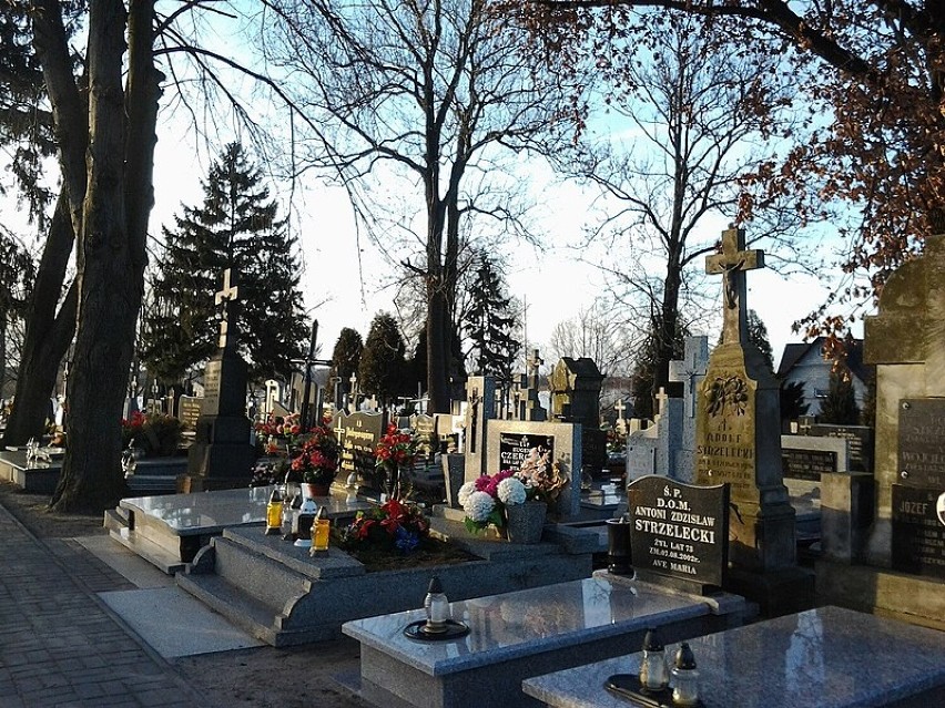 Cmentarz w Brdowie.