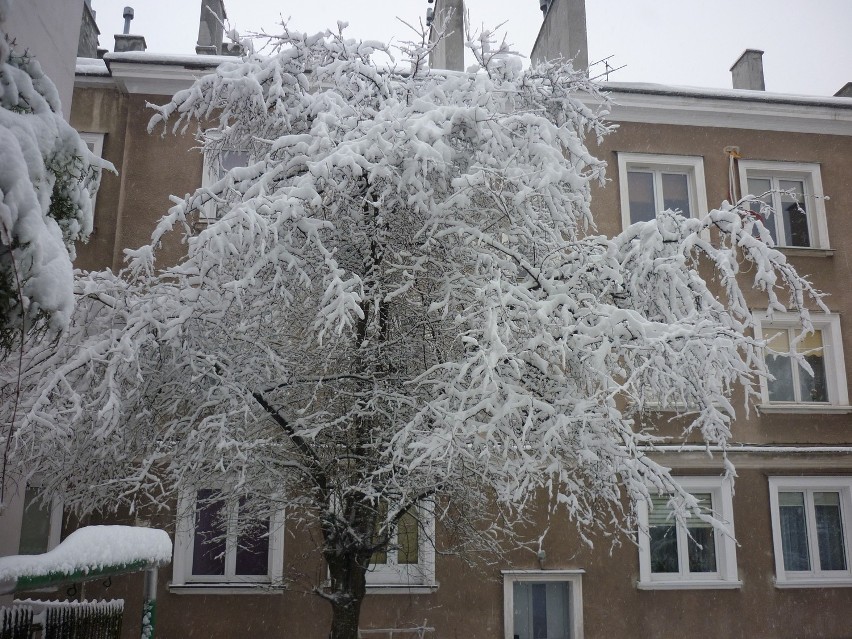 Gorlice: śnieg pada od ponad dwunastu godzin. Nie ustaje