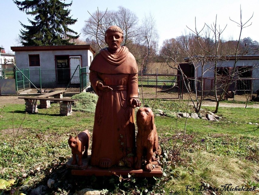Święty Franciszek ze zwierzętami w ogrodach proboszczowskch....