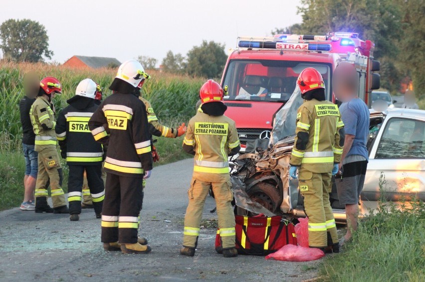 Samochód wypadł z drogi i uderzył w przydrożne drzewo. Kierowca trafił do szpitala [ZDJĘCIA]