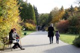 Jesienny spacer po Ogrodzie Botanicznym. Zobacz zdjęcia