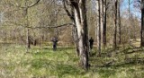 Poszukiwania 11-latka w Żorach zakończyły się szczęśliwie. Chłopiec zagubił się w lesie