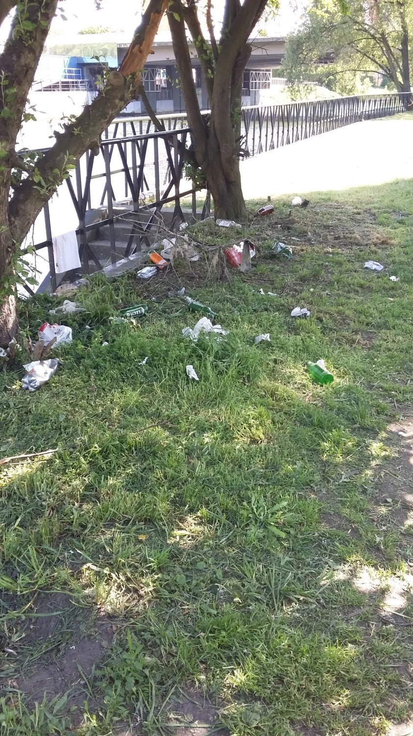 Coraz więcej śmieci na terenach przy Motławie w Gdańsku. Co na to straż miejska? [ZDJĘCIA]