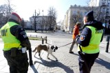 Nie przestrzegasz nowych ograniczeń? Zapłacisz nawet 30 tys. zł. Na ulicach pojawi się więcej policji i żołnierzy