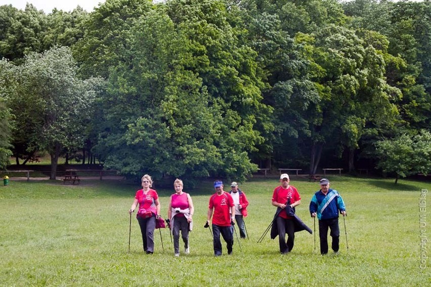 Seniorzy z Elbląga przemierzyli Bażantarnię w wydaniu nordic walking [ZDJĘCIA]