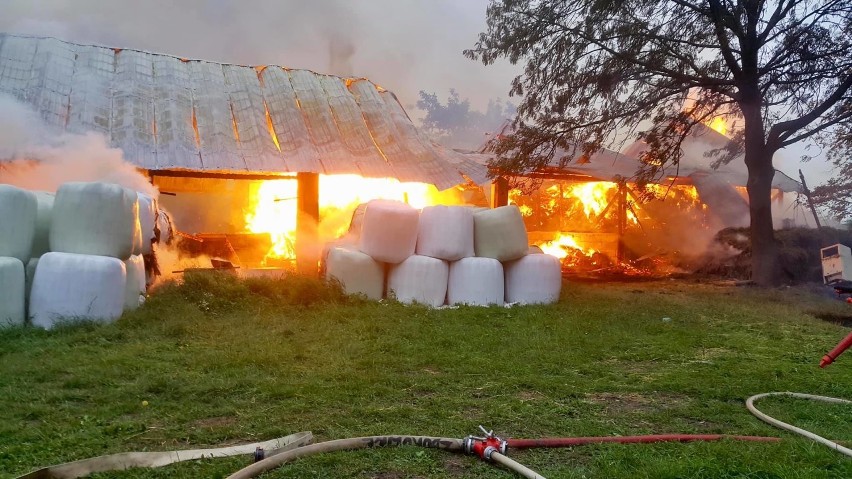 Falkowa. Potężny pożar stodoły od uderzenia pioruna. Zginęło 6 sztuk bydła i pies [ZDJĘCIA]