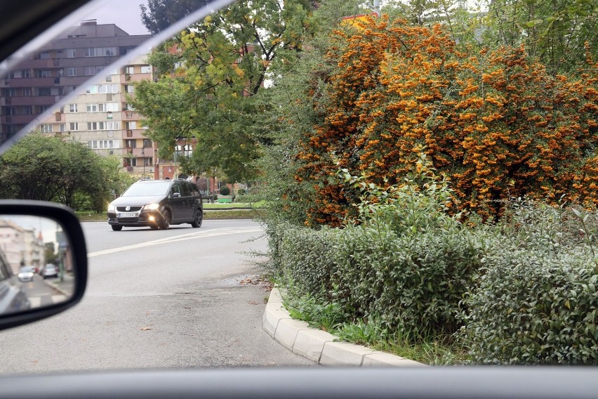 Na skrzyżowaniu ulicy Powstańców Śląskich wystarczy wyciąć krzaki aby ułatwić wyjazd w lewo na ulicę Mickiewicza.