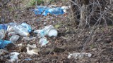 Urząd Miasta w Myszkowie zachęca do informowania kto podrzuca śmieci