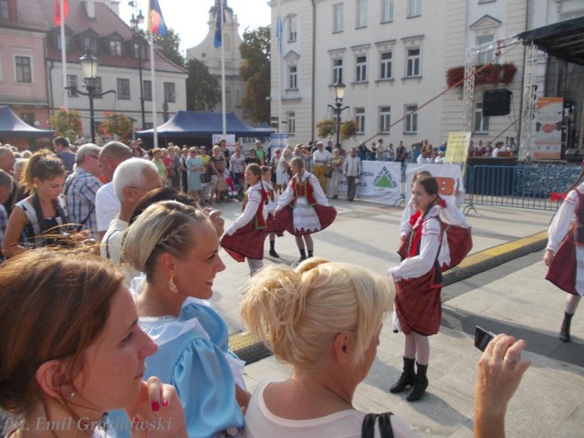 Dzień Inicjatyw Pozarządowych w Płocku [FOTO, WDIEO]