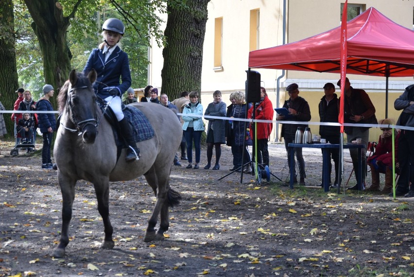 IV Regionalny Mityng Jazdy Konnej Olimpiad Specjalnych w Konarzewie