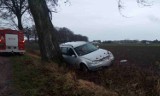 Gmina Malbork. Wypadek na drodze krajowej nr 55. Jedna osoba w szpitalu [ZDJĘCIA]