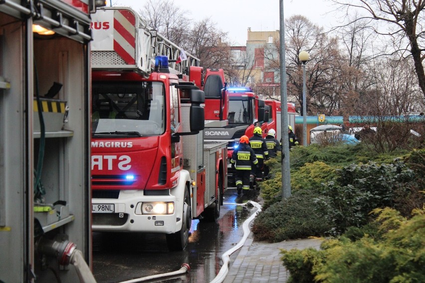 Zdjęcia z akcji strażaków