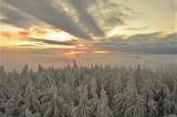 Urzekająca zima w Beskidzie Sądeckim. Góry i lasy pokryte białym puchem. Zobaczcie zdjęcia