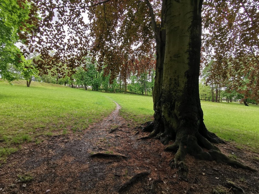 Park w Kościelcu zmieni się nie do poznania. Zobacz jak wygląda teraz a jak będzie [GALERIA] 