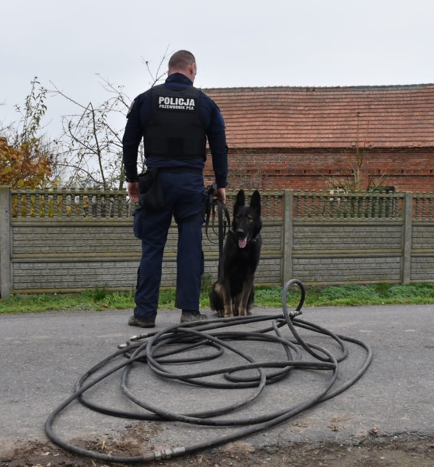 Policyjny pies wytropił złodzieja węży ciśnieniowych. ZDJĘCIA