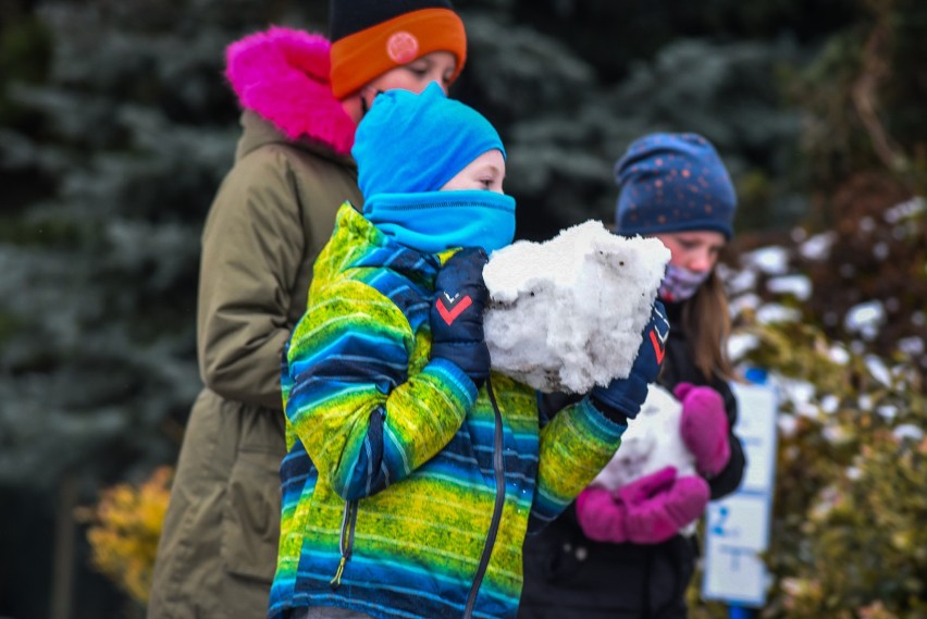Zima w Lesznie 12 stycznia 2021