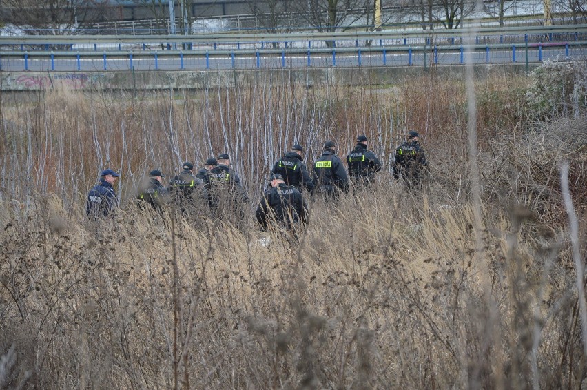 Policjanci przeszukiwali dziś teren przy ul. Panieńskiej.