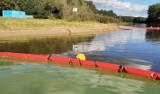 Pomysł na oczyszczanie jezior naukowców z Wrocławia nagrodzony. Otrzymali Złoty Medal na międzynarodowych targach