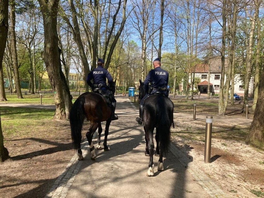 Konna policja w Goleniowie. Jeździli po parkach